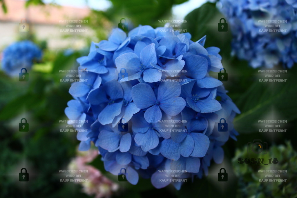 20180727165128_IMG_0248 | susn_18 - Realisiert mit Pictrs.com