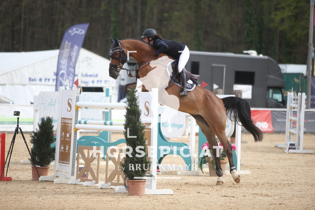 PP018411 | Willkommen bei Brunnmayr - Design & Fotografie – Ihrem Spezialisten für Reitturniere und Pferdeveranstaltungen in Oberösterreich, Salzburg und Bayern! Seit über 17 Jahren sind wir leidenschaftlich dabei.