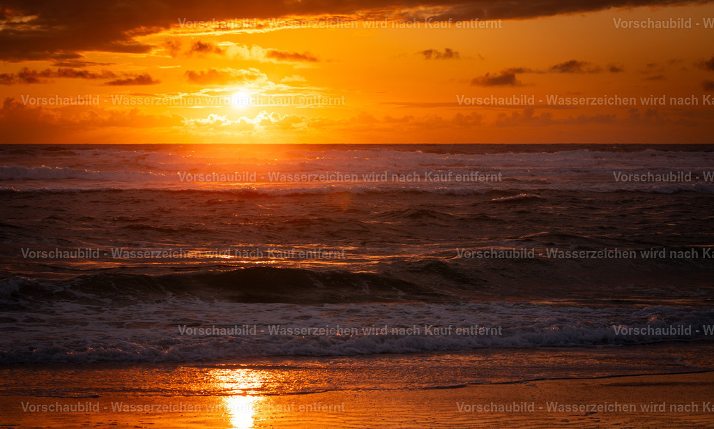 DSC02028 | marcuslinek