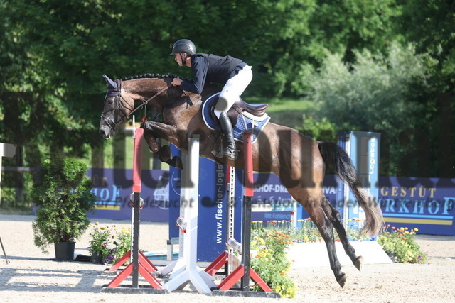 Weilheim_2023_Prfg.Nr.09_Qualifikation_PSA-Tour_Marvin Frey_Catwise (3) | Alle Fotos der Reiterjournal Fotografin Doris Matthaes im Reiterjournal Online-Fotoshop. - Realisiert mit Pictrs.com