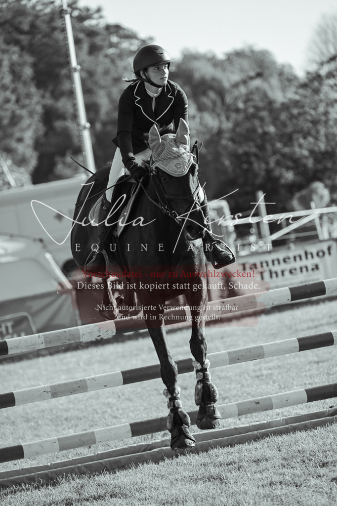 DSC_4435 | Pferde- und Turnierfotografie in Westsachsen. Pferdeportraits, Auftragszeichnungen und intuitive Kunst.