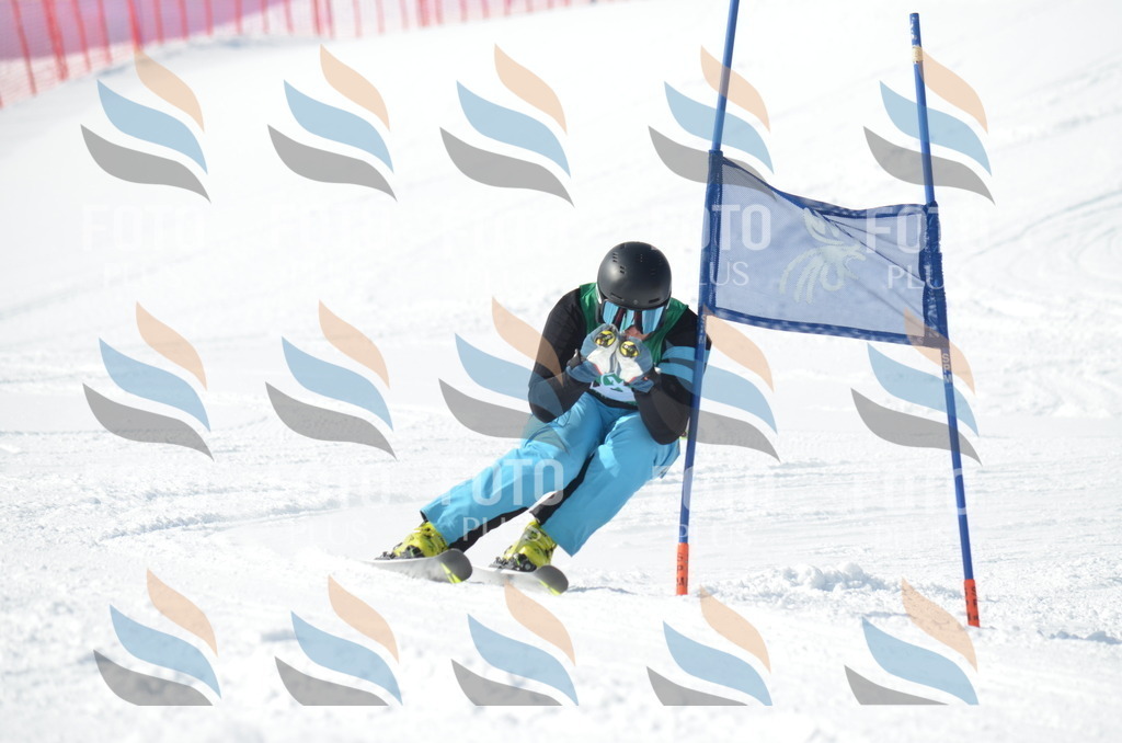 D9215 | holidayphoto