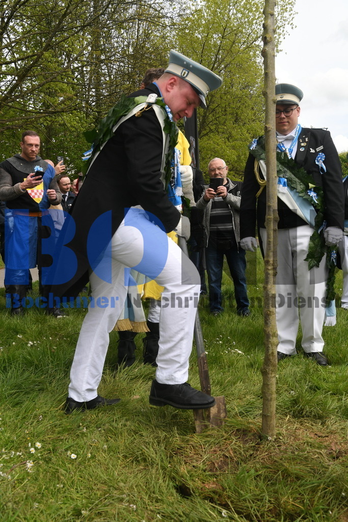 636. Maiabendfest 2024 | {headline}



(Foto: Christian Schnaubelt / BOND)

 - Realisiert mit Pictrs.com