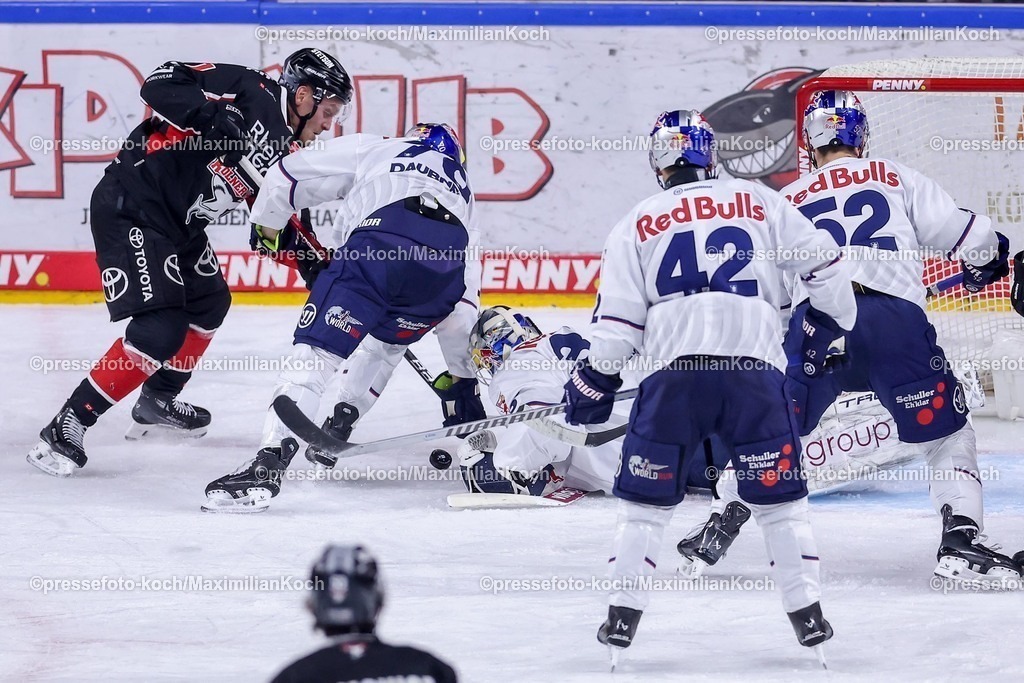 KEC28012501047 | 28.01.2025, Eishockey, DEL, Kölner Haie - EHC Red Bull München, Spieltag 41, Lanxess-Arena Köln: Spielszene vor dem Tor der Münchener