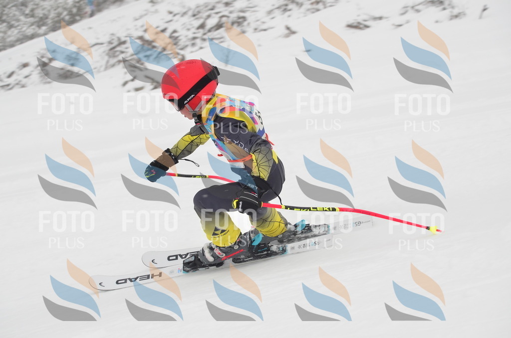 C0964 | holidayphoto