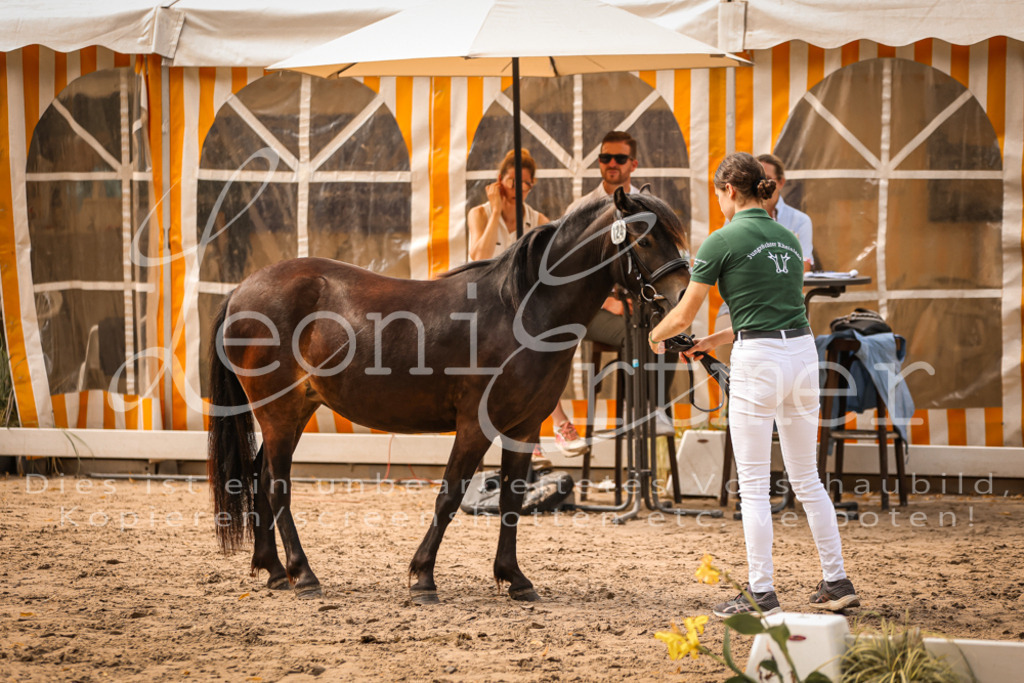 03.So00105 | Leoni Ertmer Photography - Realisiert mit Pictrs.com