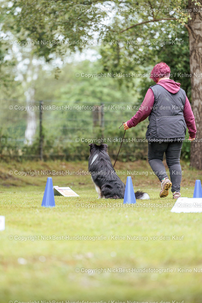 RO-Blumenthal-2026-Nickbest-Hundefotografie-4565 | Dein Hund! Dein Moment! Deine Erinnerungen! Hundefotografie in Bremen Blumenthal. Ich fange die besonderen Momente deines Vierbeiners ein – ob Indoor mit Blitzanlage oder in der freien Natur. Sicher dir dein Moment und dein Termin für eure Erinnerungen.