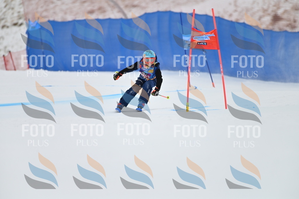 BGV_9926 | holidayphoto