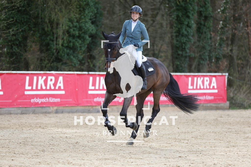0P6A9660 | Willkommen bei Brunnmayr - Design & Fotografie – Ihrem Spezialisten für Reitturniere und Pferdeveranstaltungen in Oberösterreich, Salzburg und Bayern! Seit über 17 Jahren sind wir leidenschaftlich dabei.