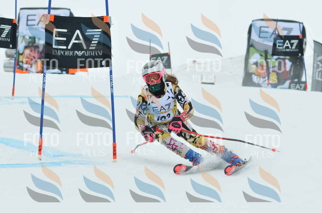 DSC_8074 | holidayphoto