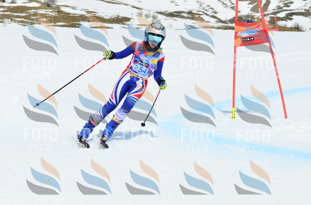 _ELE2735 | holidayphoto