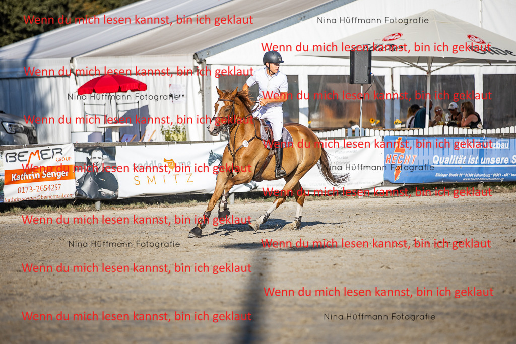 BK1A8706 | Turnierbilder Turnierfotos Nina Hüffmann Turnierfotografie Pferdefotografie Tierzeichnung Haustierzeichnung Pferdezeichnung Hundezeichnung Videograf  - Realisiert mit Pictrs.com
