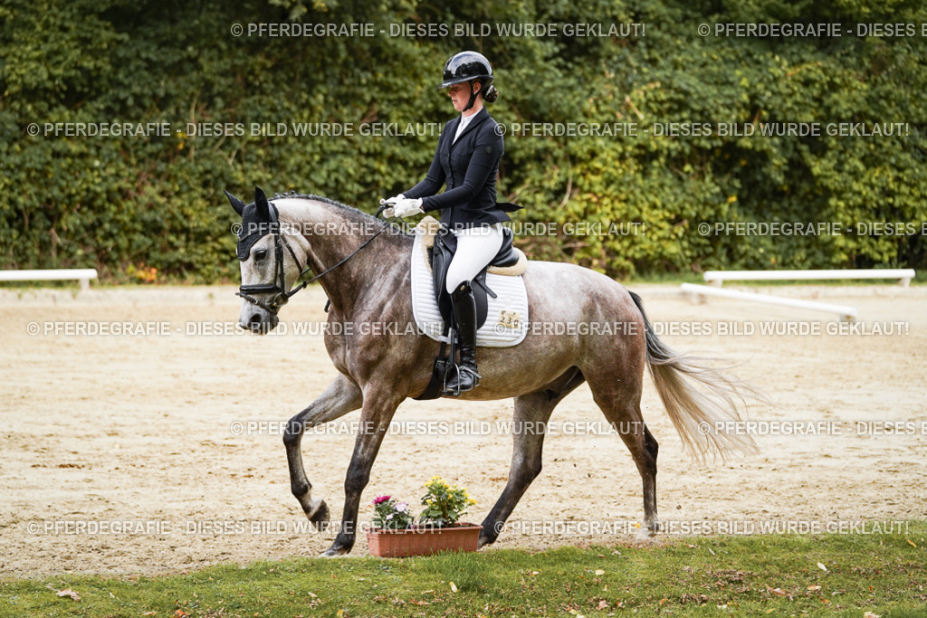 DSC00764 | Pferdegrafie