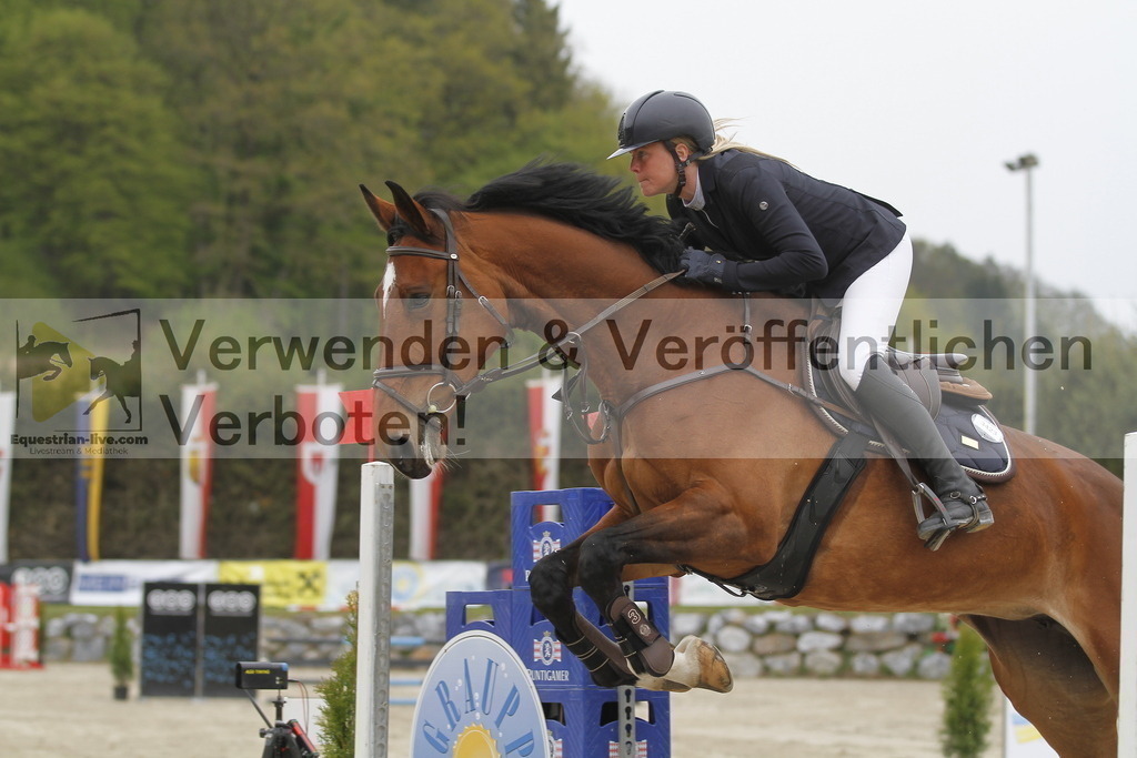 _MG_1323 | equestrian-live-com