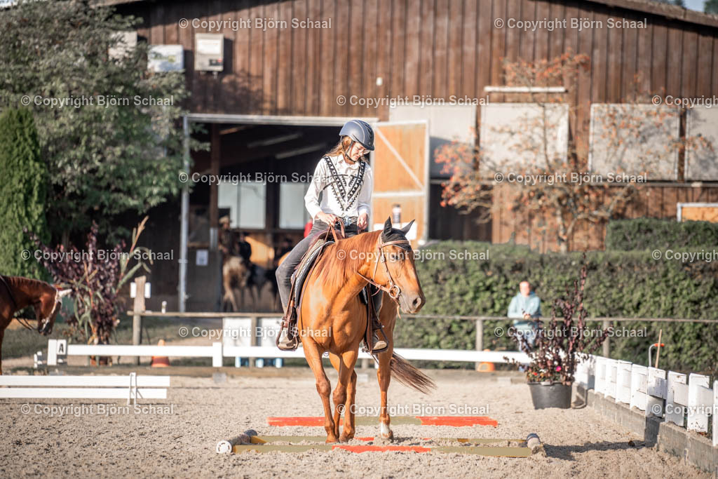 KBB09206 | BS-foto