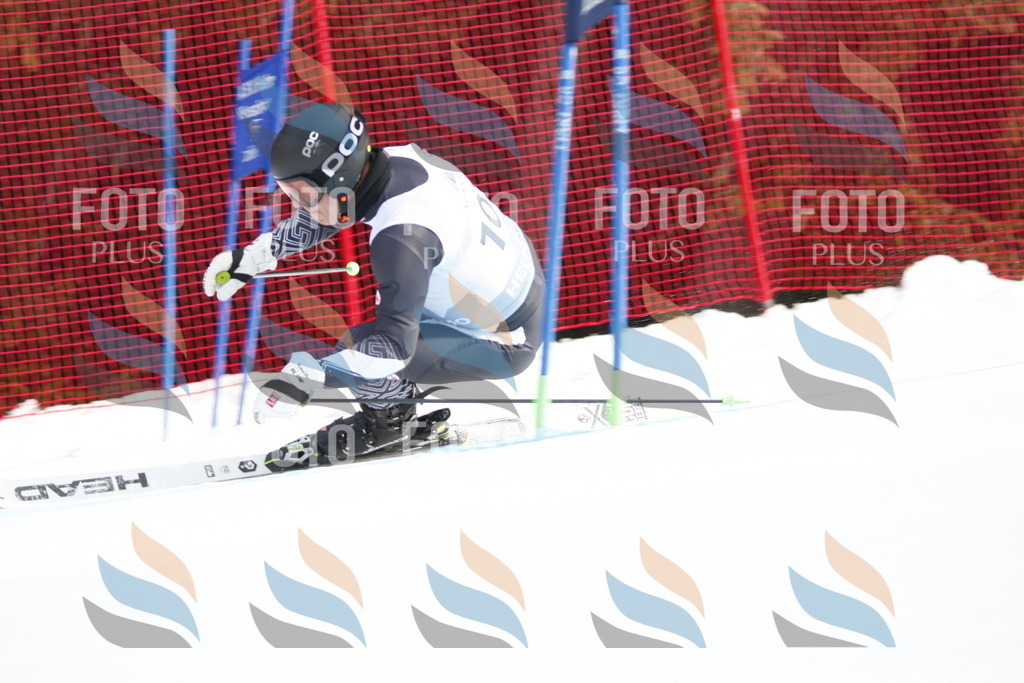 D6475 | holidayphoto