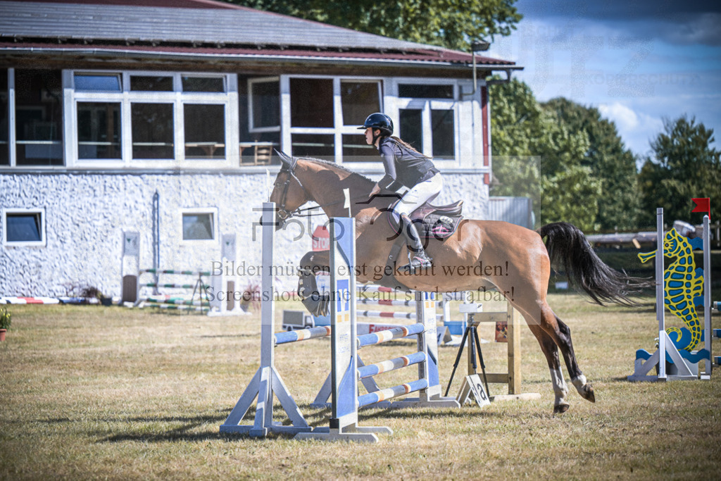 DOS_0949 | Entdecke hochwertige Reitturnierfotos von Foto Oger. Professionell, emotional und authentisch – jetzt Lieblingsmomente im Shop bestellen.Deutschlandweite Turnierfotografie. - Realisiert mit Pictrs.com