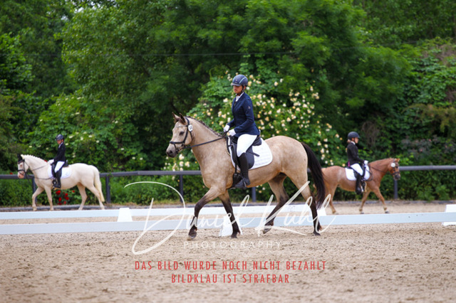 DKP46246 | Turnierfotos kaufen im Webshop von Daniel Kuhl Photography – entdecke professionelle Reitsportfotos aus Turnieren & Events. Hochwertige Turnierbilder online bestellen & sichern. Jetzt Fotos von Reitsportturnieren kaufen!