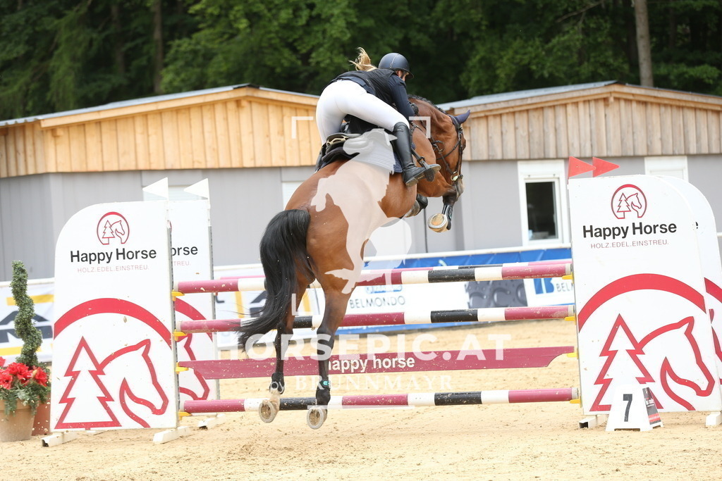 DL2Q2734 | Willkommen bei Brunnmayr - Design & Fotografie – Ihrem Spezialisten für Reitturniere und Pferdeveranstaltungen in Oberösterreich, Salzburg und Bayern! Seit über 17 Jahren sind wir leidenschaftlich dabei.