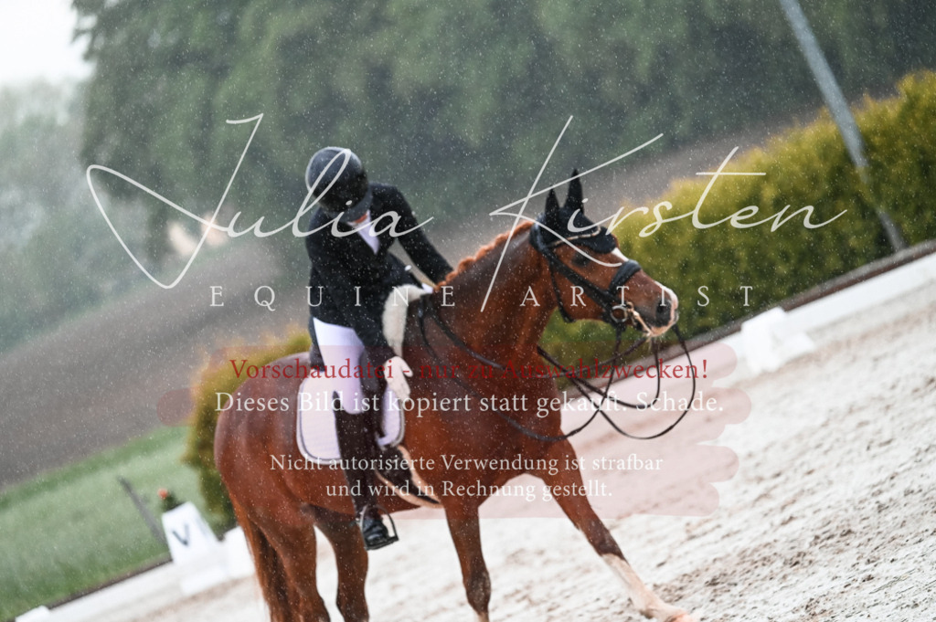 DSC_4644 | Pferde- und Turnierfotografie in Westsachsen. Pferdeportraits, Auftragszeichnungen und intuitive Kunst.