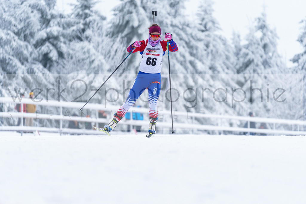 DP Oberwiesenthal | Alpencup/DP Deutschlandpokal in Oberwiesenthal am 15.-17.12.2023
