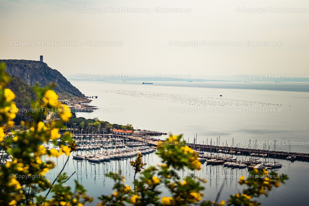 Triest_Bled 2019-5959 | Fotos und Fotoprodukte - Realisiert mit Pictrs.com