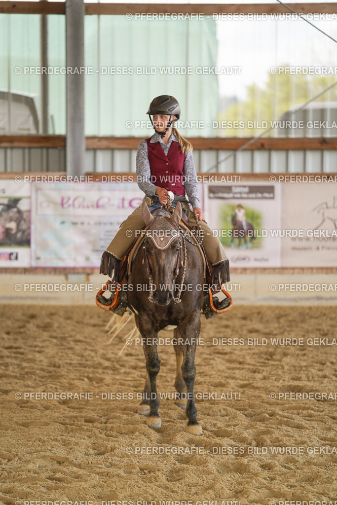 DSC08954 | Pferdegrafie