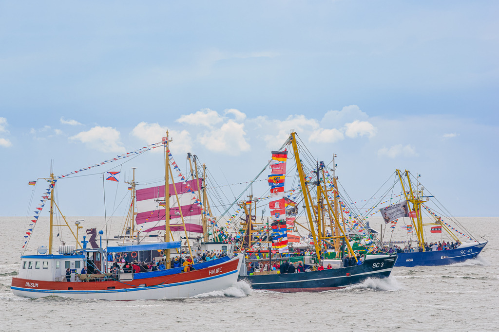 Kutterregatta Büsum | Im Sommer findet in Büsum die Kutterregatta statt. Es gilt als größtes maritimes Ereignis an der Nordseeküste von Schleswig-Holstein. Die Kutter werden mit Flaggen und Wimpeln geschmückt, nehmen zur Regatta auch Fahrgäste an Bord. - Realisiert mit Pictrs.com