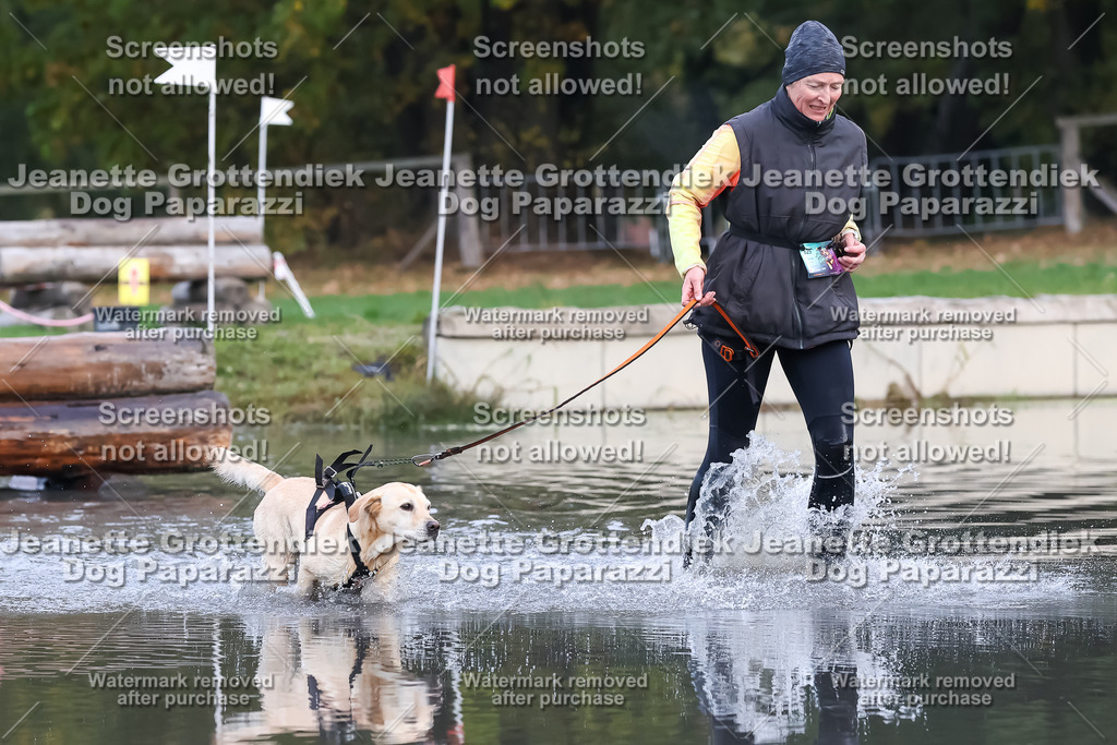 Dog Paparazzi - Strongdog 10-25-6522 | Dog Paparazzi Jeanette Grottendiek Fotografie & Videografie - Realisiert mit Pictrs.com