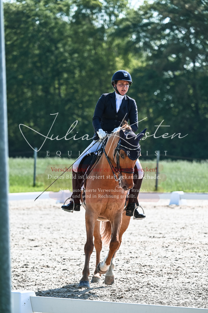 20230514_JK-Röhrsdorf-18-316 | Pferde- und Turnierfotografie in Westsachsen. Pferdeportraits, Auftragszeichnungen und intuitive Kunst.