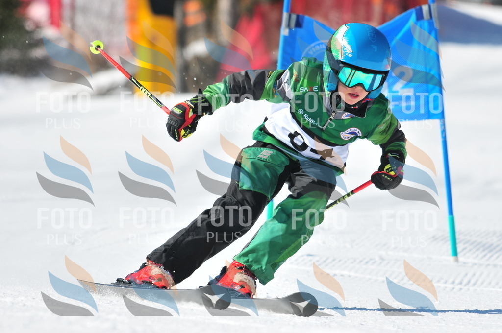 C3130 | holidayphoto