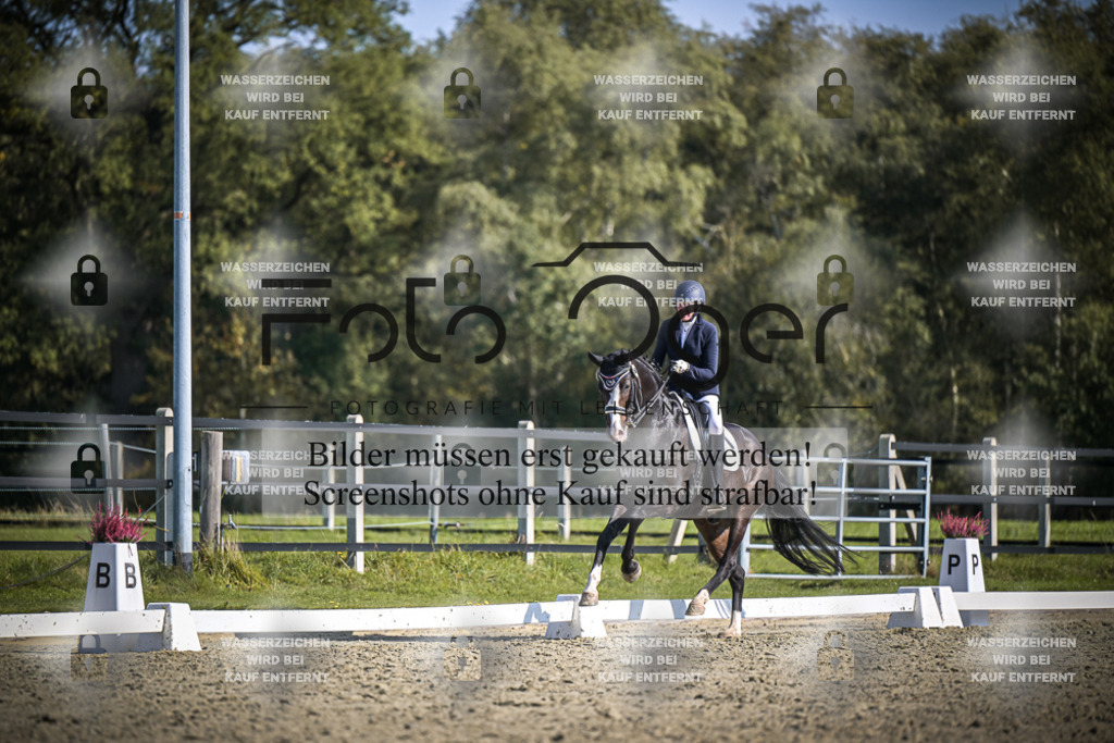 DOS_2498 | Entdecke hochwertige Reitturnierfotos von Foto Oger. Professionell, emotional und authentisch – jetzt Lieblingsmomente im Shop bestellen.Deutschlandweite Turnierfotografie. - Realisiert mit Pictrs.com