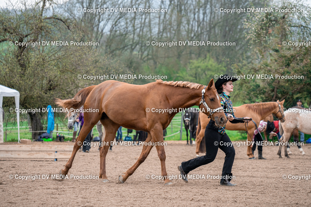 BA300074 | dv-media-shop - Realisiert mit Pictrs.com