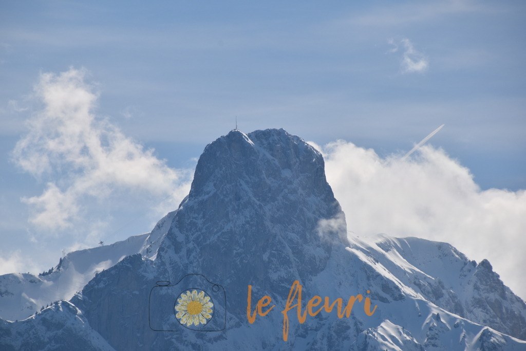 DSC_0130 | Dies ist der Shop von Florian Blum - le fleuri. Langenthal, Bern, Schweiz. Sie können hier meine oder ihre eigenen Fotos als Fotoprodukte kaufen. Tassen, Schlüsselanhänger, Taschen etc. können Sie hier gestalten.  - Realisiert mit Pictrs.com