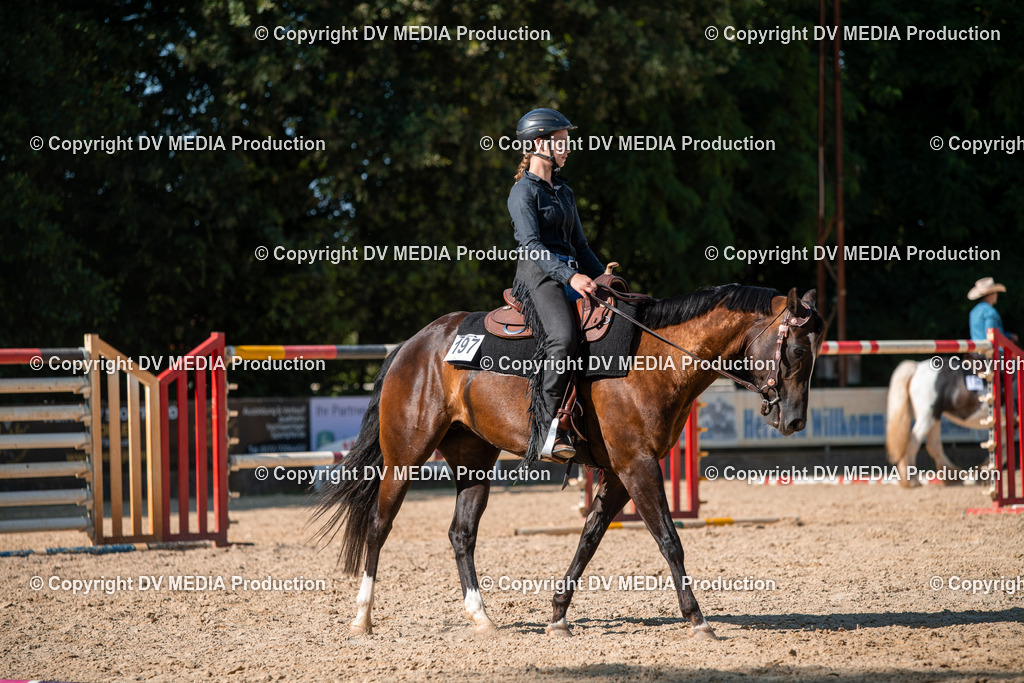 EWP_6980 | dv-media-shop - Realisiert mit Pictrs.com