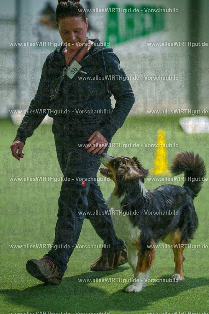 7R506981 | Professionelle Tierfotografie in Mönchengladbach von Daniel Wirth (allesWIRTHgut). Liebevolle & natürliche Bilder von Hunden & Katzen für unvergessliche Erinnerungen.