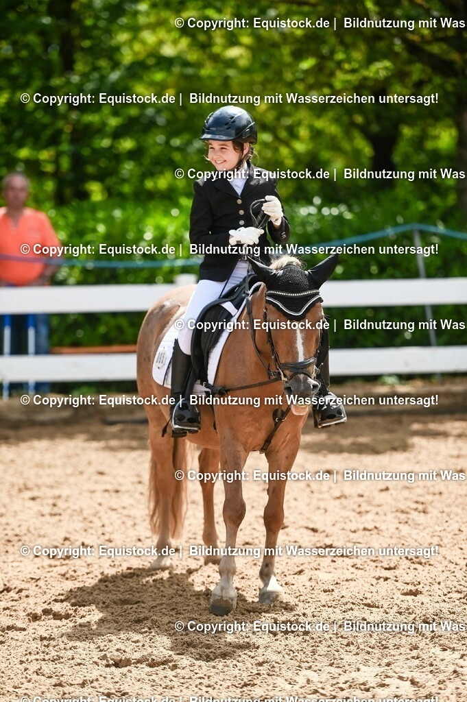 20230716_10-3_Reiter-WB Schritt - Trab - Galopp_0190 | equistock