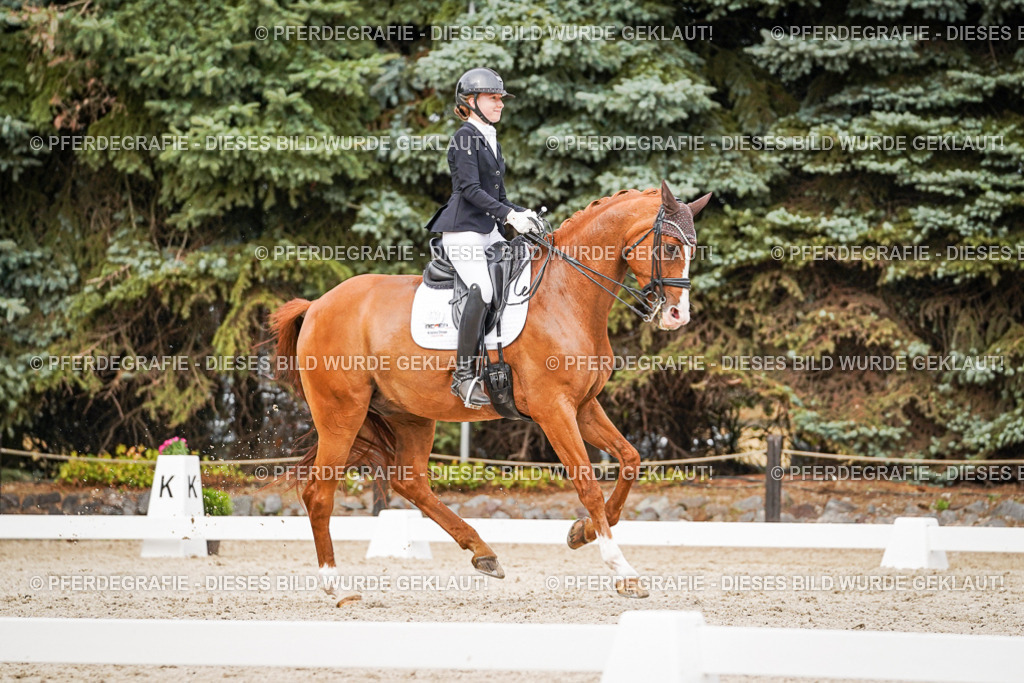 DSC07236 | Pferdegrafie