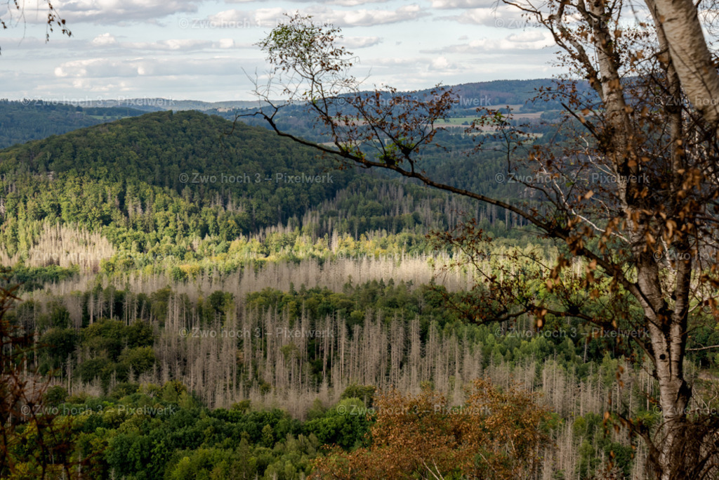 Obere_Affensteinpromenade_Ruebezahlturm_Hausberg_Kirnitzschtal | 2022-09-02_Waldbrandgebiete_2 - Realisiert mit Pictrs.com