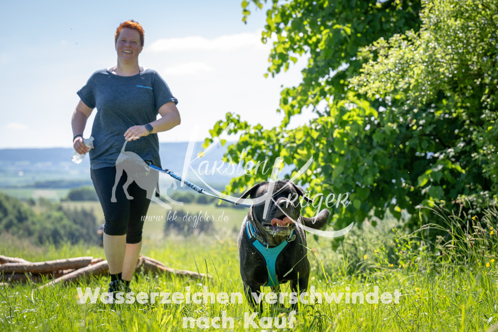 1050_ZZ93796 | kk-dogfotos