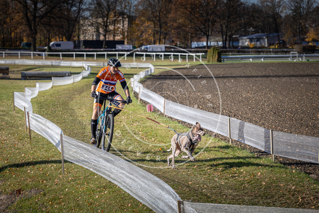 CaniXpix_DV3A7045 | Hundefotografie, Tierfotograf, Pfotenfotografie, Fotoshooting Hund, Hunde Portrait, Hundesport, Hundeportraits, Heideshooting, Hunde, Sportfotograf, Hundefotograf, Turnierhundsport, THS,  - Realisiert mit Pictrs.com