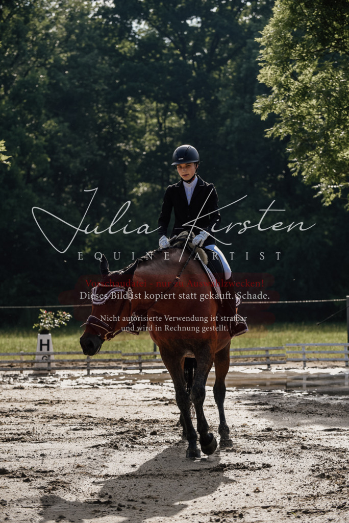 DSC_8260 | Pferde- und Turnierfotografie in Westsachsen. Pferdeportraits, Auftragszeichnungen und intuitive Kunst.