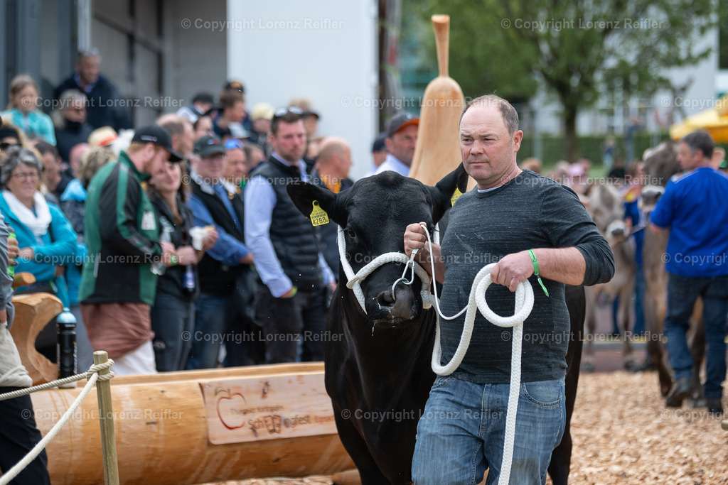 Schwingen -  TG Kantonal 2023 | Neukirch-Egnach, 30.4.23, Schwingen - TG Kantonal.