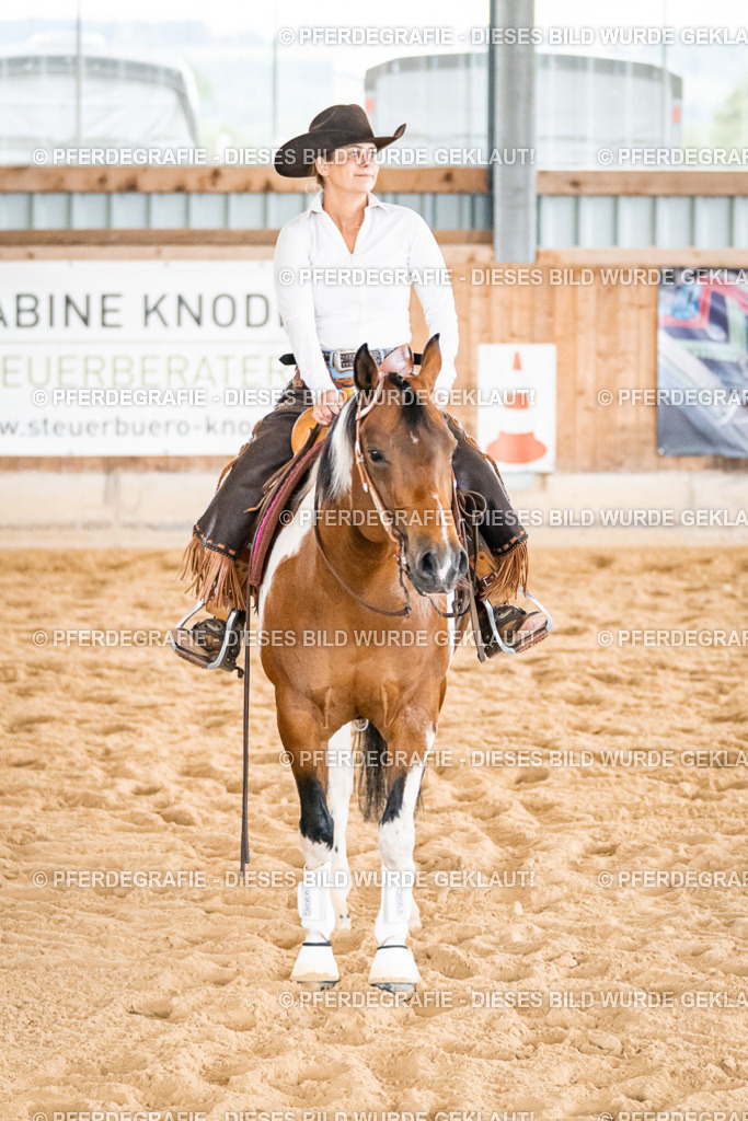 DSC01089 | Pferdegrafie