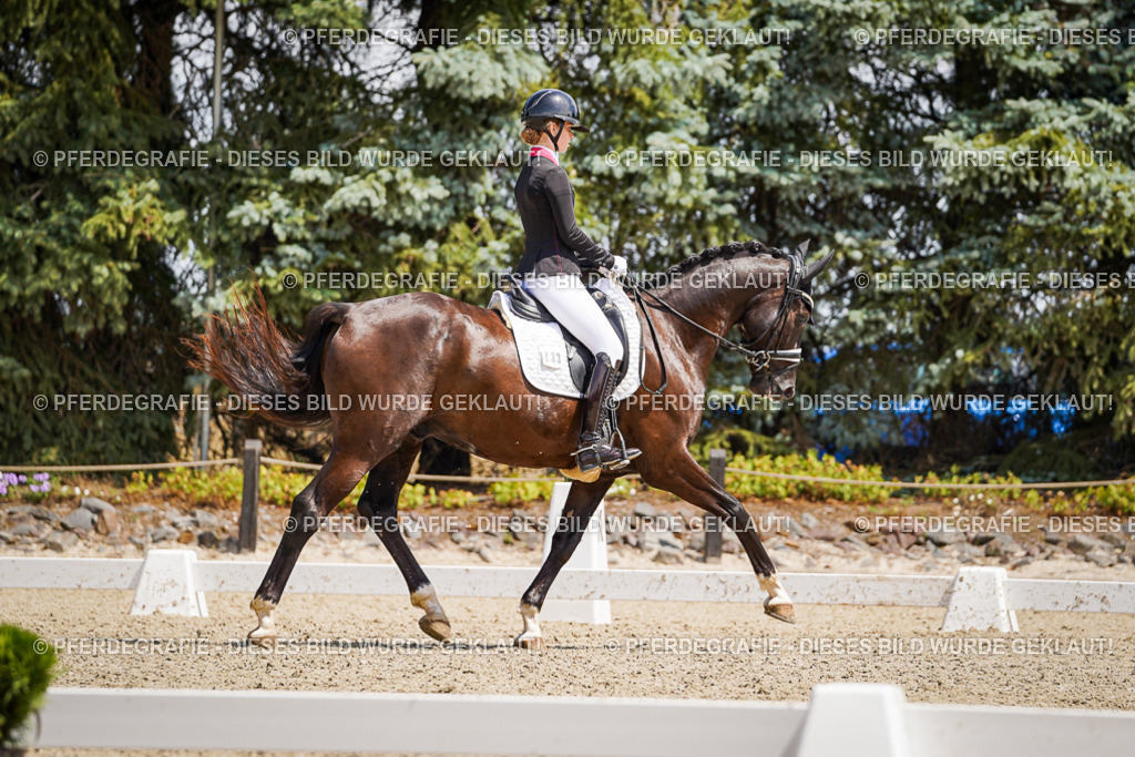 DSC01509 | Pferdegrafie