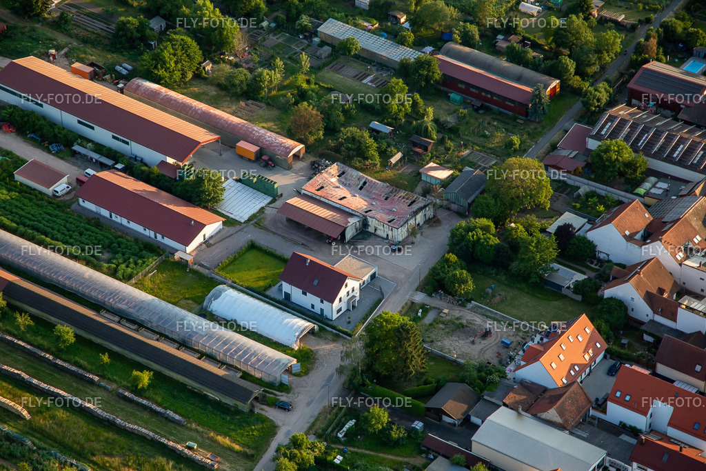 Abgebrannte landwirtschaftliche Lagerhalle Am Ettenbaum | Luftbild: Abgebrannte landwirtschaftliche Lagerhalle Am Ettenbaum in Kandel im Bundesland Rheinland-Pfalz in Deutschland. Foto: IMG_136270.jpg vom 07.06.2023 durch ©2025 Werner Riehm fly-foto.de/copyright - Realisiert mit Pictrs.com