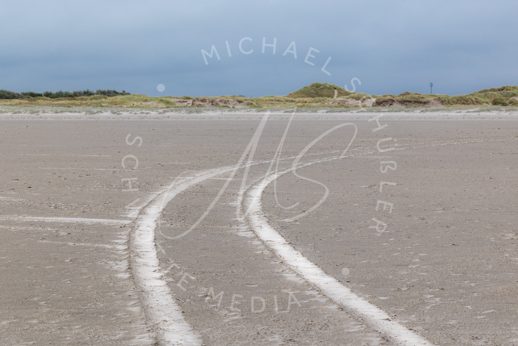 2025-07-23 SPO Hungerhamm Seehund Leuchtturm 002 | Schwotte Media - Realisiert mit Pictrs.com