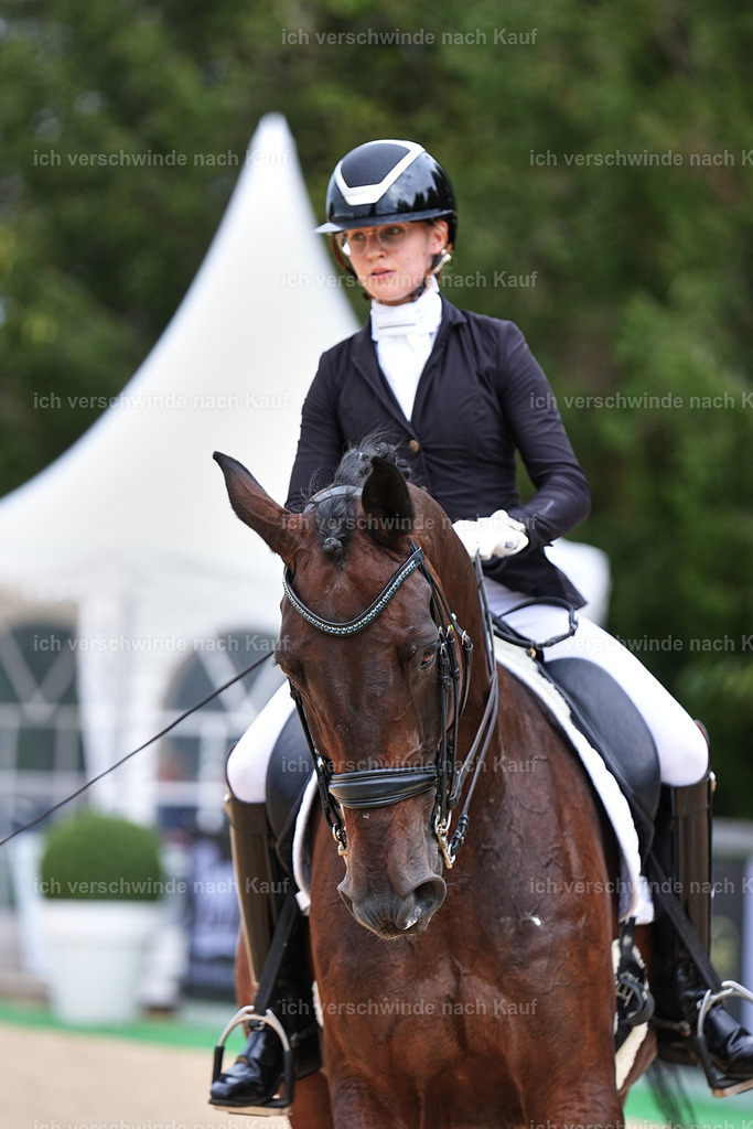 04_1-022-Dressur M__ -Marixx-2772 | working equitationturnier fotograf videograf stoibphotography marixx film working equitation deutschland reitsport turnierfotografie eventfotografie equestrian events