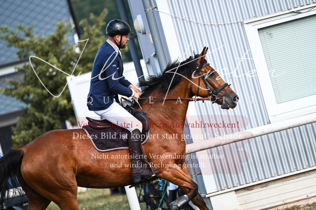 DSC_7626 | Pferde- und Turnierfotografie in Westsachsen. Pferdeportraits, Auftragszeichnungen und intuitive Kunst.