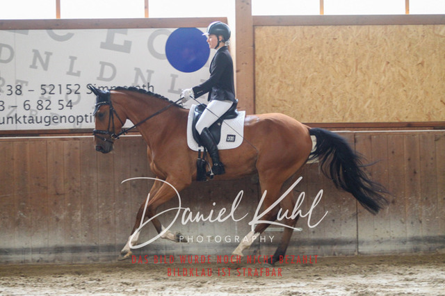 DKP44117 | Turniersportfotografie; Pferdefotografie; Dressurfotografie